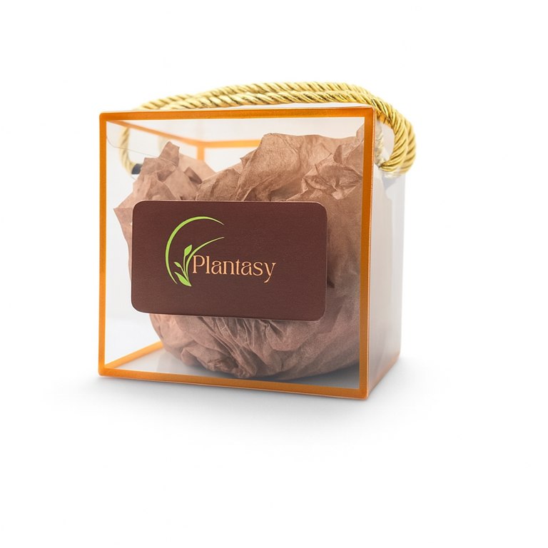Plantasy Skincare Gift Box with Face Oil, Day and Night Cream